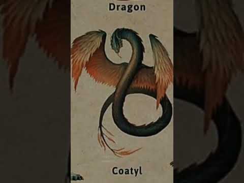 noun 2 Types of Dragon | #Dragon#bangxeiy #coatyl #fyp#shots