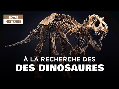 Chasseurs de dinosaures : les paléontologues fouillent le passé - Documentaire préhistoire - CTB