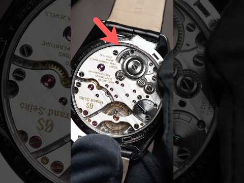 Most People MISS this Detail on Grand Seiko’s Watch 🐦